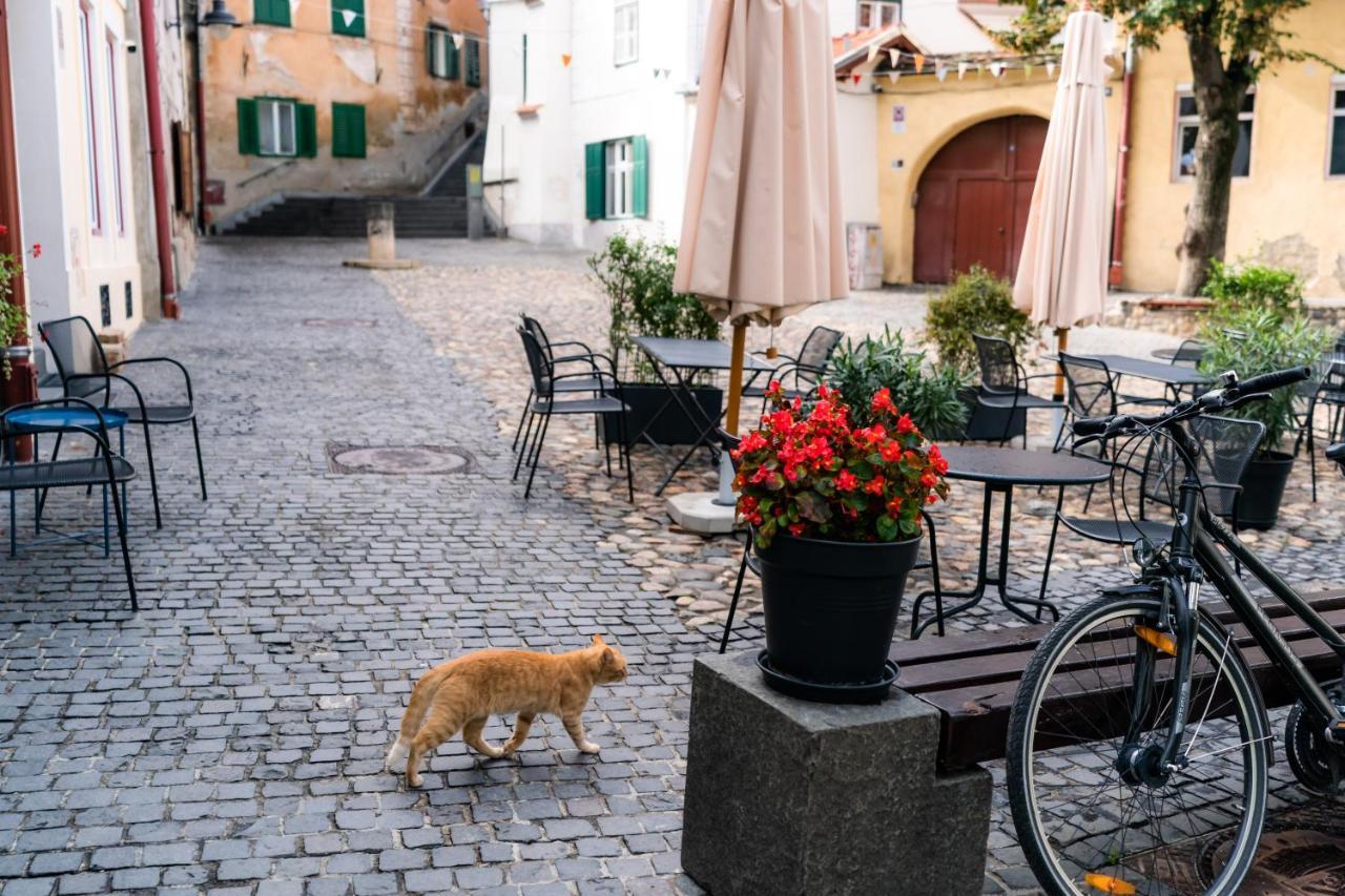 Charming Studio Ideal For Getaways Or Workations In Sibiu'S Medieval City Center Ngoại thất bức ảnh